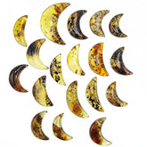 Fossil Amber Handmade Moon Cabochons